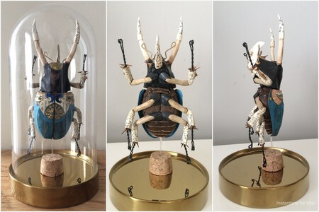 Insecte sous cloche (cloche 20 cm)