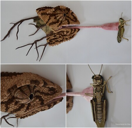 Cam&eacute;l&eacute;on mural (pour le cam&eacute;l&eacute;on: carton, papiers divers, fil de fer, caissette de chocolat en papier, textiles divers, tringle &agrave; rideau, dorure de carton &agrave; p&acirc;tisserie, bouchons de li&egrave;ge, rouille, boule en polystyr&egrave;ne. Pour le criquet: ampoule en verre buvable, papiers divers, moustiquaire en tissu, physalis s&eacute;ch&eacute;, papier aluminium, fil de fer, perles, textiles divers, carton, &eacute;pines de ronce, c&acirc;bles de pneu de voiture, rouille, chambre &agrave; air de v&eacute;lo)