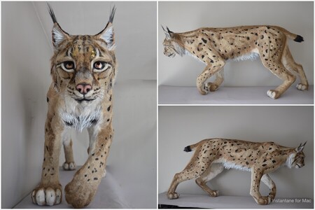 Lynx bor&eacute;al 64 cm x 140 cm x 34 cm (carton, papier kraft, papier aluminium, corde en sisal, jute, poils de chien, essuie-tout, opercule de yaourt, chutes de tissus, bouteilles de lait en plastique, agrafes pour carton, clous de tapissier, coques de ch&acirc;taignes, canettes de boisson, pailles en plastique, poign&eacute;es en mousse de trottinette, capsules de bouteilles, pneu de voiture, chambre &agrave; air de v&eacute;lo, divers pi&egrave;ces m&eacute;talliques (chutes de cuivre, pressions,...), corde de guitare, ficelle de lieuse,