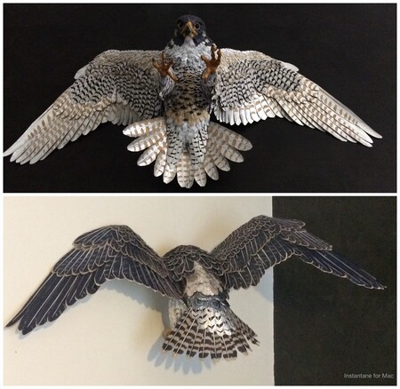 Faucon p&egrave;lerin (carton, papier aluminium, papier kraft, brique alimentaire, papier de soie, caf&eacute;, charbon de bois, carton fin, pages de livres, bouteilles de lait en plastique, capsules de bouteille, fil de fer, chutes de colle chaude, vielle pochette photo en papier jaunie, papier noir, perles en verre, muselet, boite de chocolat)