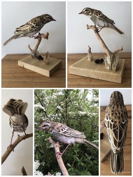 pipit des arbres 1 (papier aluminium, muselets, papiers divers, perles en bois, ficelle cir&eacute;e, plaques de peinture &eacute;caill&eacute;es provenant d'une table de jardin m&eacute;tallique, canette de boisson, plastique noir de sac poubelle, poils de chat, fruits s&eacute;ch&eacute;s d'aulne, chute de planche de bois)