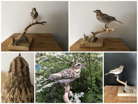 pipit des arbres 2 (papier aluminium, muselets, papiers divers, perles en bois, ficelle cir&eacute;e, plaques de peinture &eacute;caill&eacute;es provenant d'une table de jardin m&eacute;tallique, canette de boisson, plastique noir de sac poubelle, poils de chat, fruits s&eacute;ch&eacute;s d'aulne, chute de planche de bois)