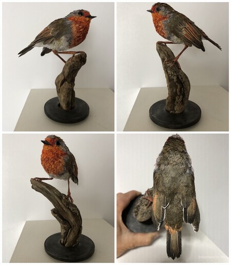 rouge-gorge 1 (papier aluminium, papiers divers, poudre d'ardoise et de rouille, caf&eacute;, perles, ficelle cir&eacute;e, fil de fer, &eacute;pines de ronce, bois sec, chutes de m&eacute;dium, rondelle m&eacute;tallique &eacute;paisse, &eacute;chantillons de tissus.)