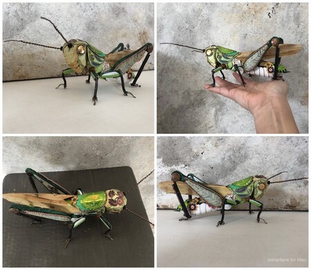 sauterelle pos&eacute;e 2